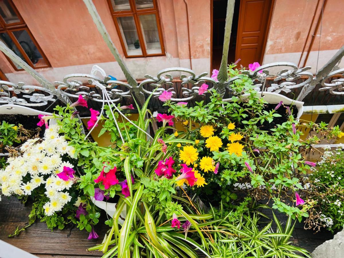 Apartment In The City Center Mini Ивано-Франкивск Екстериор снимка