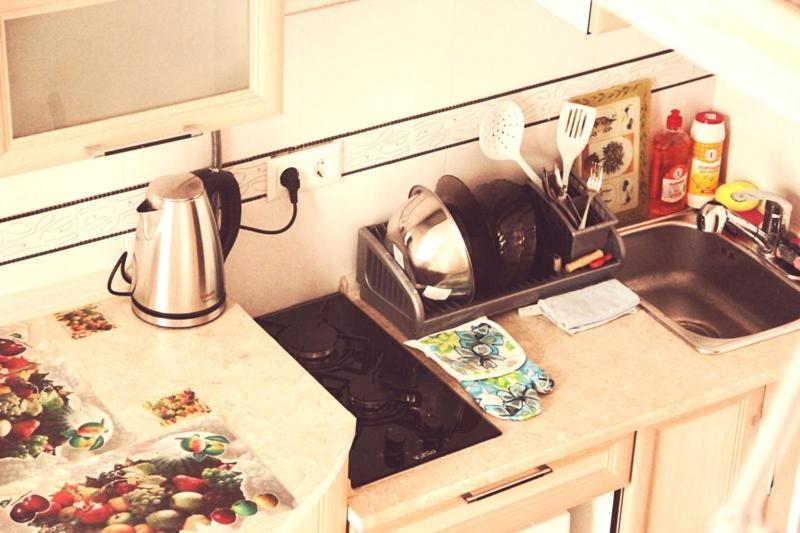 Apartment In The City Center Mini Ивано-Франкивск Екстериор снимка