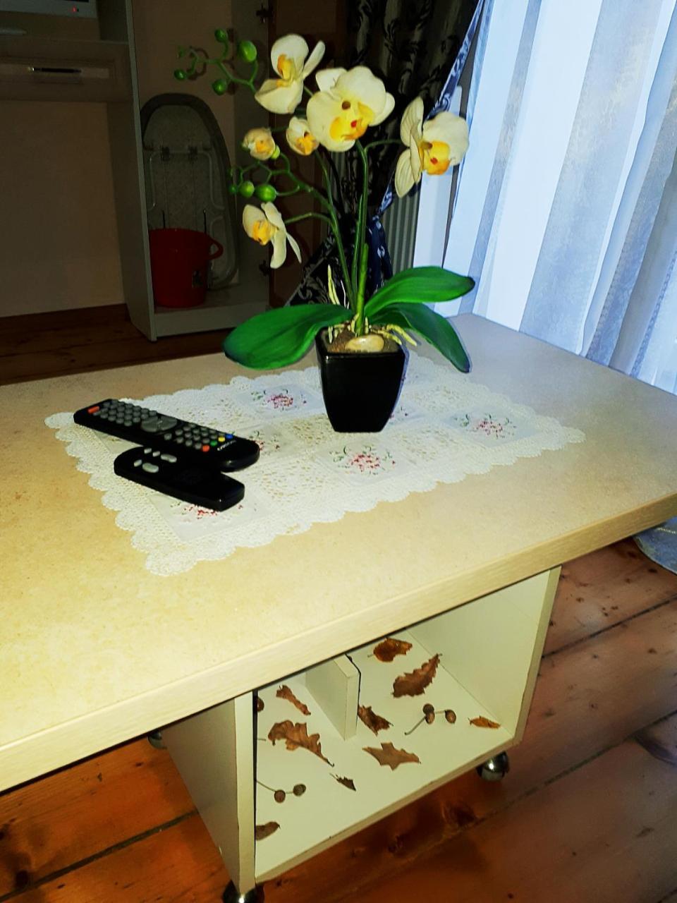 Apartment In The City Center Mini Ивано-Франкивск Екстериор снимка